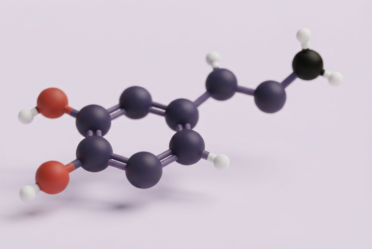 3d model of dopamine molecule with beautiful colored balls to represent the atoms: deep purple carbon atoms, red oxygen atoms, white hydrogen atoms and a black nitrogen atom